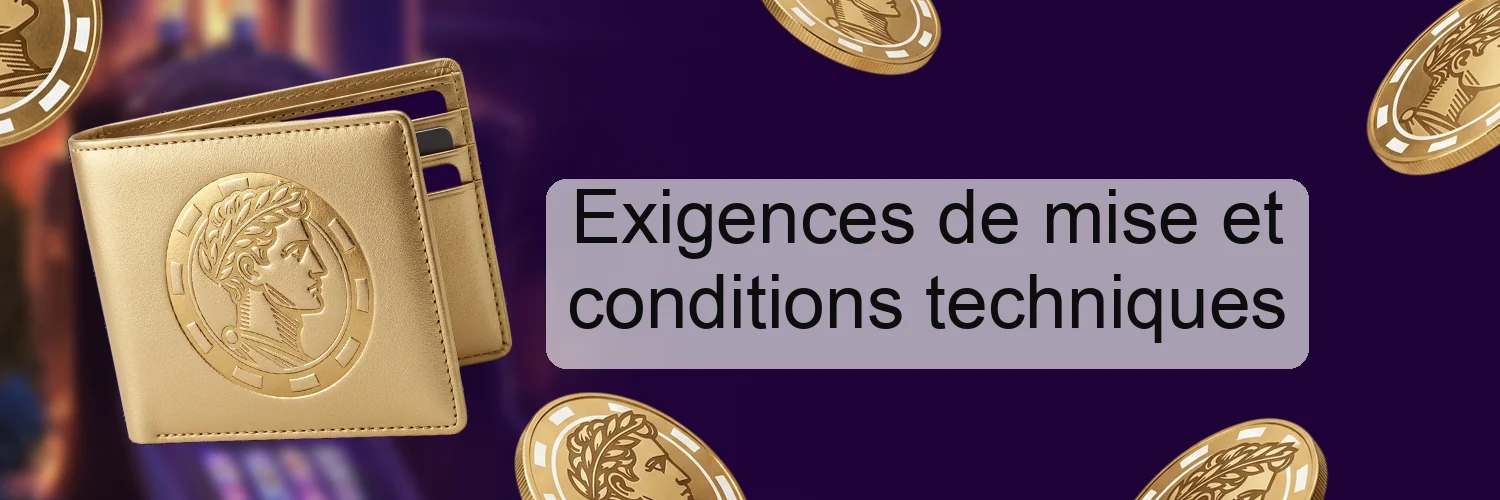 Exigences de mise et conditions techniques